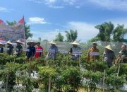 Kodim Aceh Barat Bersama Forkopimda Panen Semangka