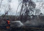 Qanun Gampong, Upaya Mitigasi Karhutla di Aceh Barat
