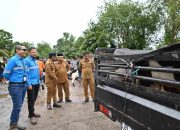 Qurban PT Mifa Bersaudara Dinilai Konsisten Setiap Tahun Disalurkan Ke Gampong di Kecamatan Meureubo