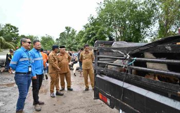 Qurban PT Mifa Bersaudara Dinilai Konsisten Setiap Tahun Disalurkan Ke Gampong di Kecamatan Meureubo