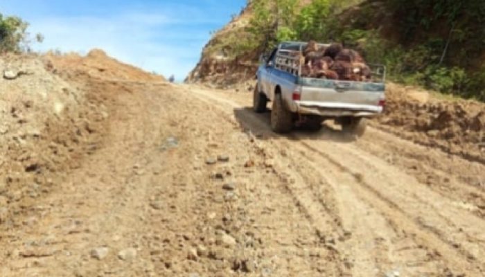 PUPR Aceh Barat Buka Ruas Baru Kubu Capang-Pasi Ara WT